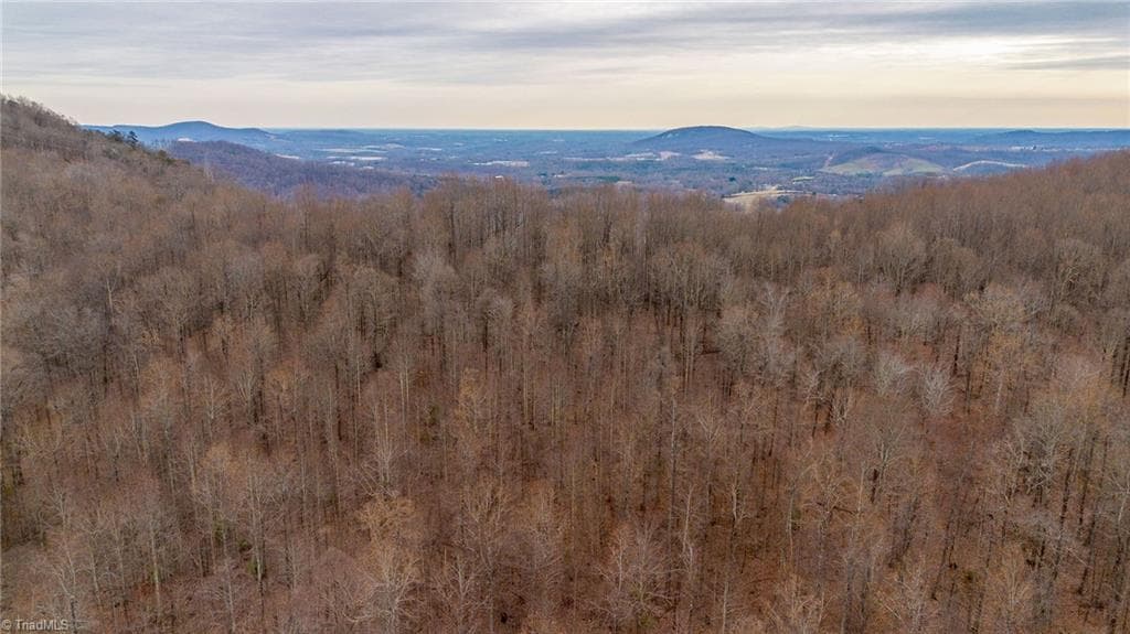 Unimproved Land at TBD E Brocktown Road, Moravian Falls NC 28654, photo 9 of 21