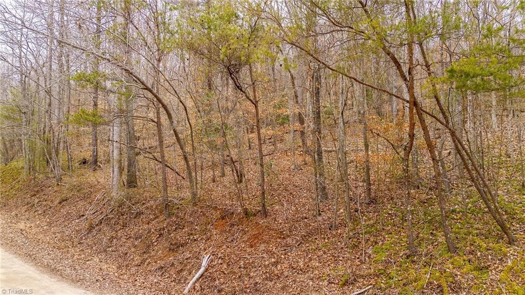 Unimproved Land at TBD E Brocktown Road, Moravian Falls NC 28654, photo 11 of 21