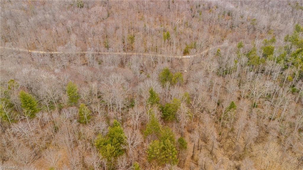 Unimproved Land at TBD E Brocktown Road, Moravian Falls NC 28654, photo 8 of 21