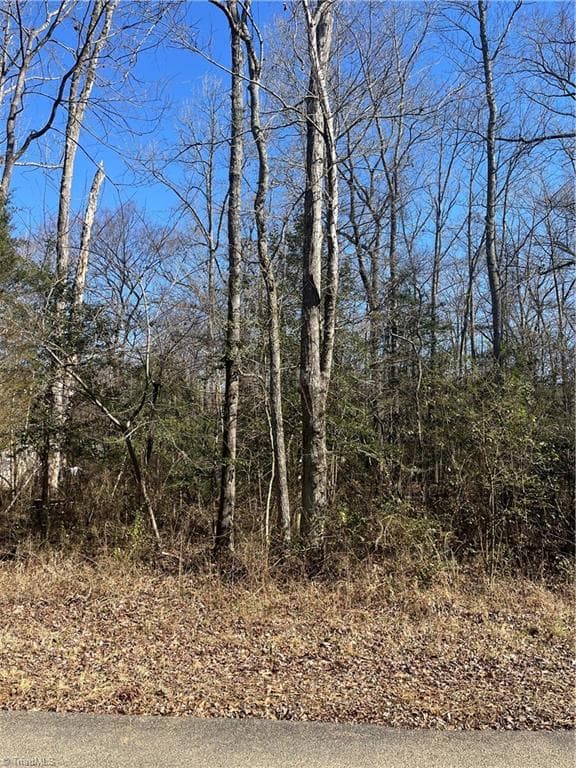 Single Family Residence at 0 Playground Lane, Salisbury NC 28146, photo 2 of 12