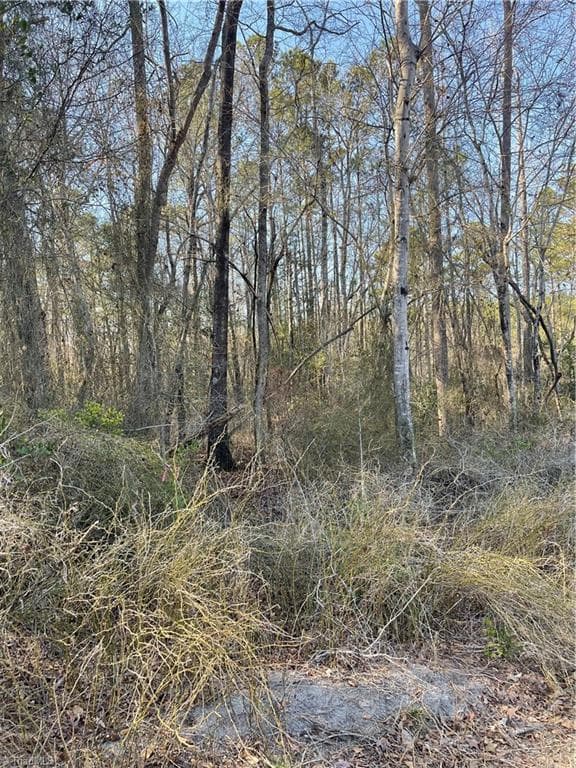 Single Family Residence at 0 Quiet Oak Road, Carthage NC 28327, photo 2 of 2