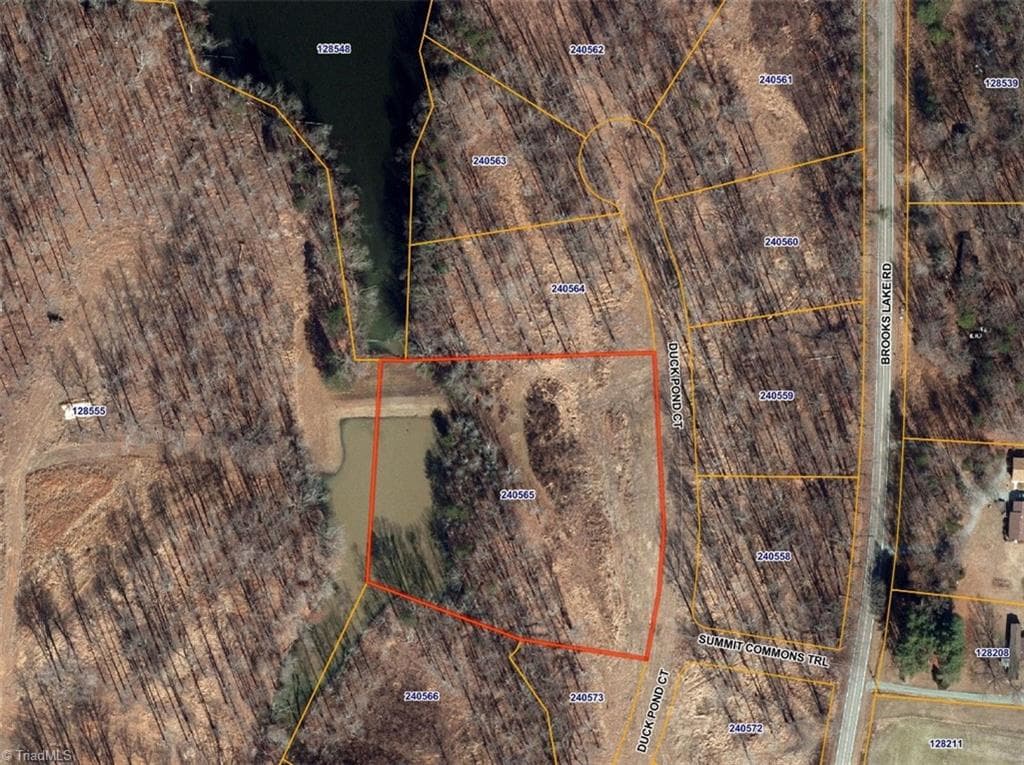 8001 Duck Pond Court, Browns Summit NC 27214