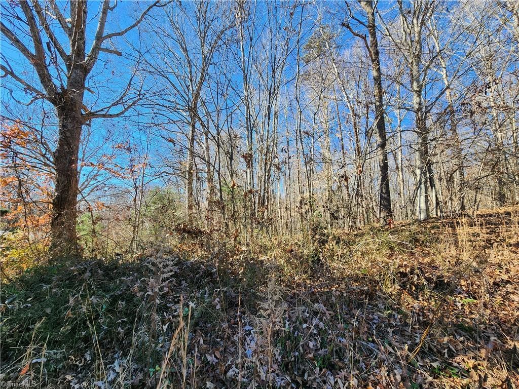 Unimproved Land at 501 Factory Street, Ronda NC 28670, photo 2 of 4