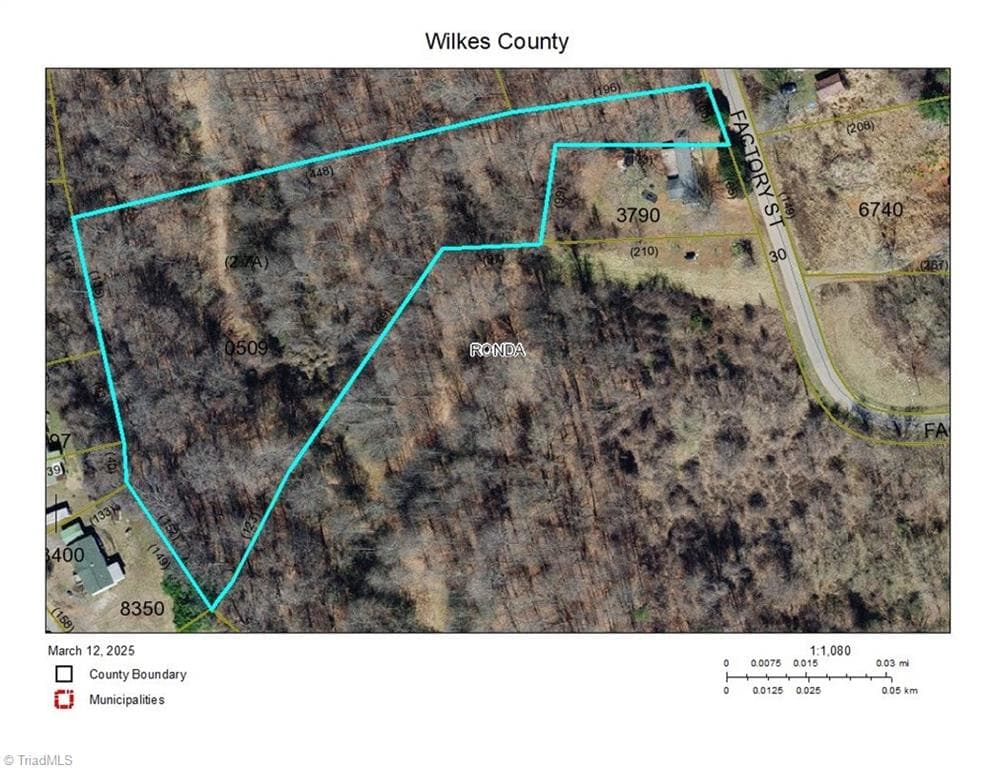Unimproved Land at 501 Factory Street, Ronda NC 28670, photo 4 of 4