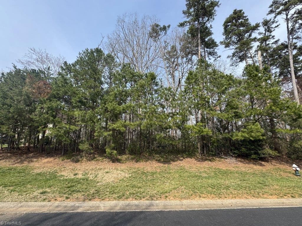 Single Family Residence at 441 Glenbrook Spring, New London NC 28127, photo 2 of 8