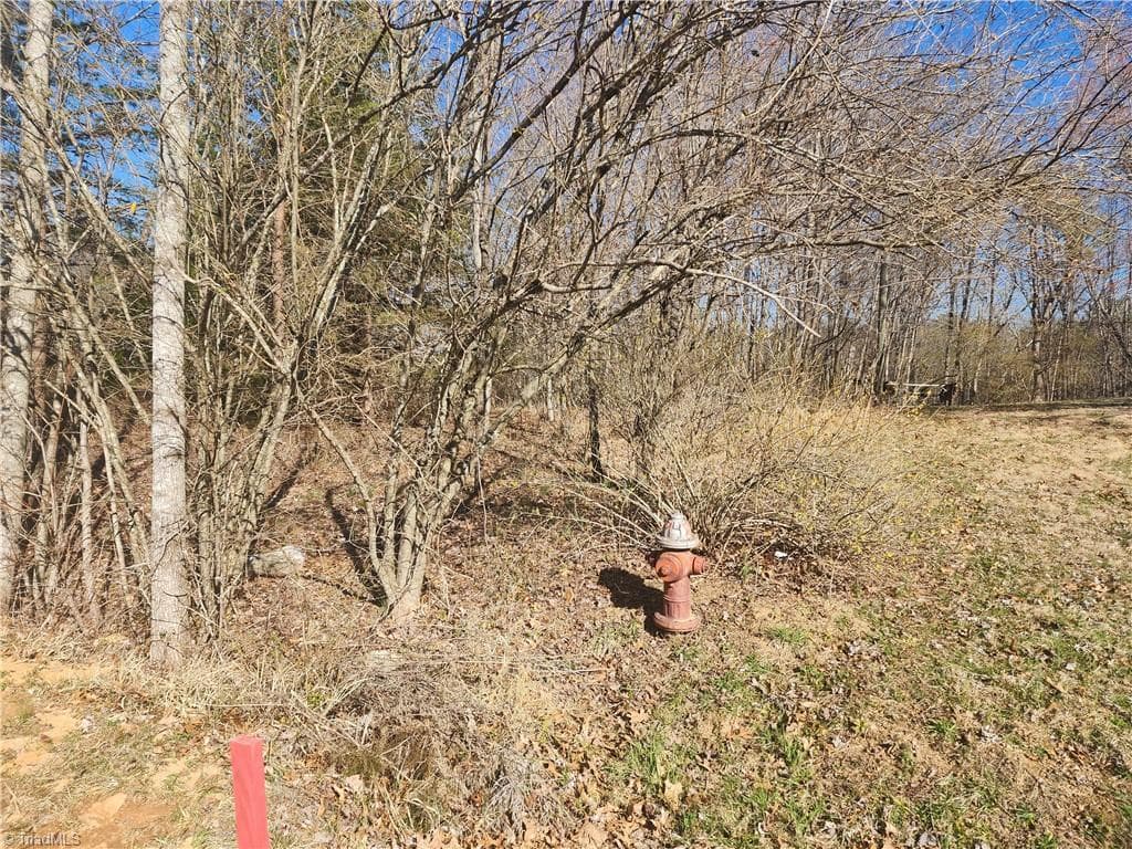 Unimproved Land at 00 Golf Course Road, Pilot Mountain NC 27041, photo 6 of 18