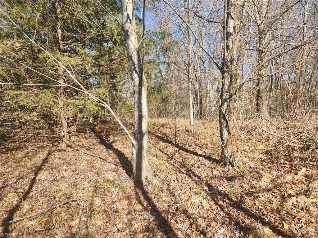 Unimproved Land at 00 Golf Course Road, Pilot Mountain NC 27041, photo 13 of 18