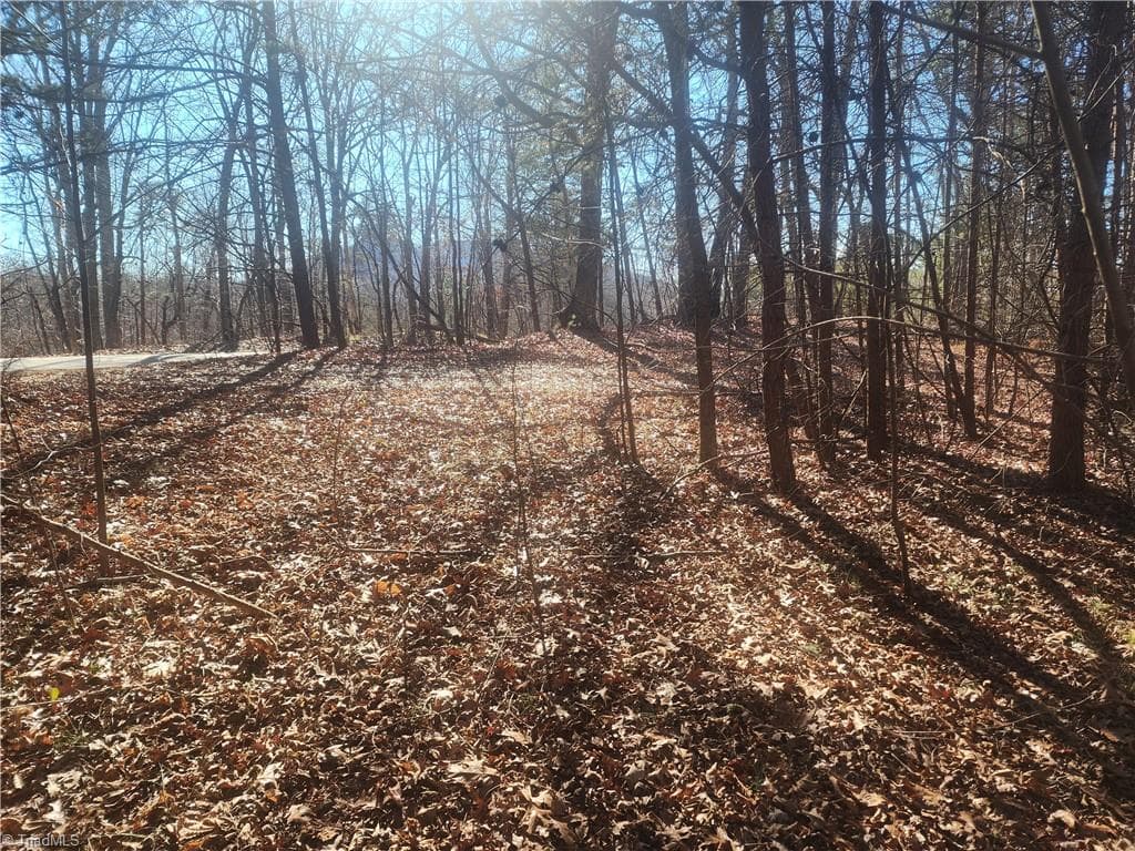 Unimproved Land at 00 Golf Course Road, Pilot Mountain NC 27041, photo 17 of 18