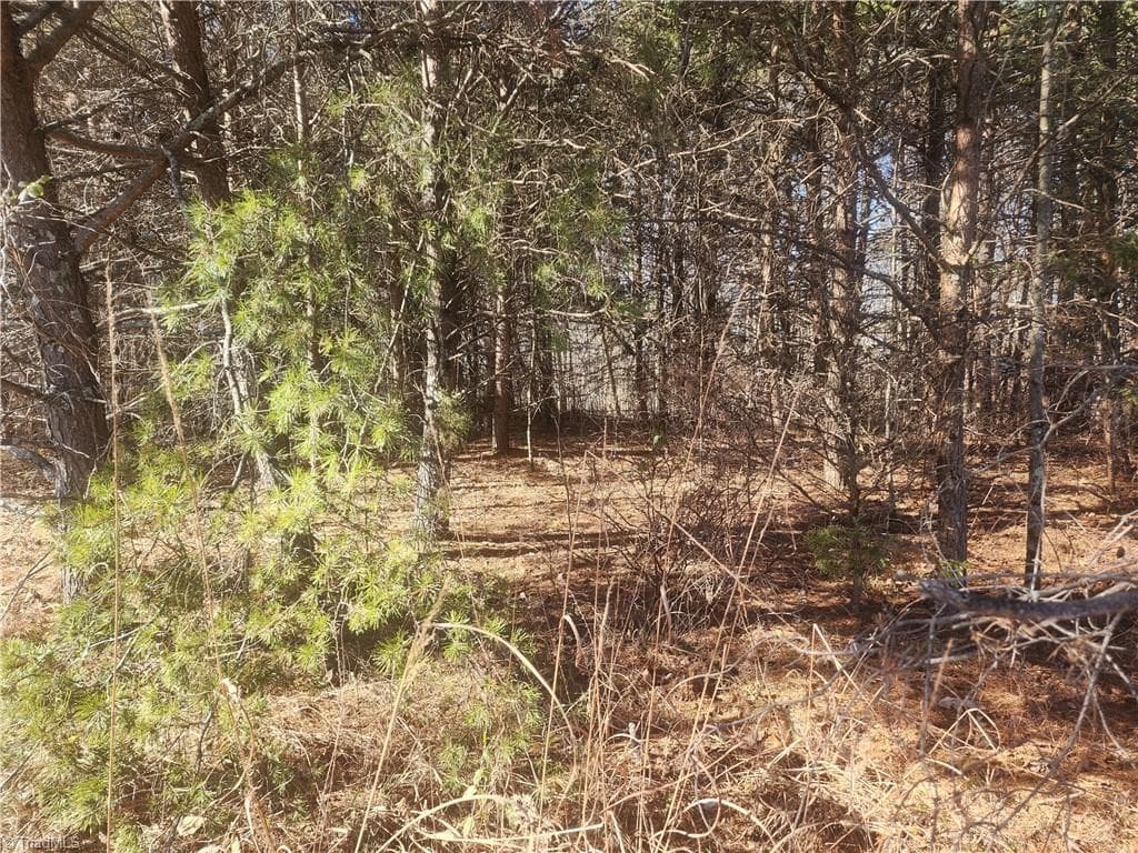 Unimproved Land at 00 Golf Course Road, Pilot Mountain NC 27041, photo 16 of 18