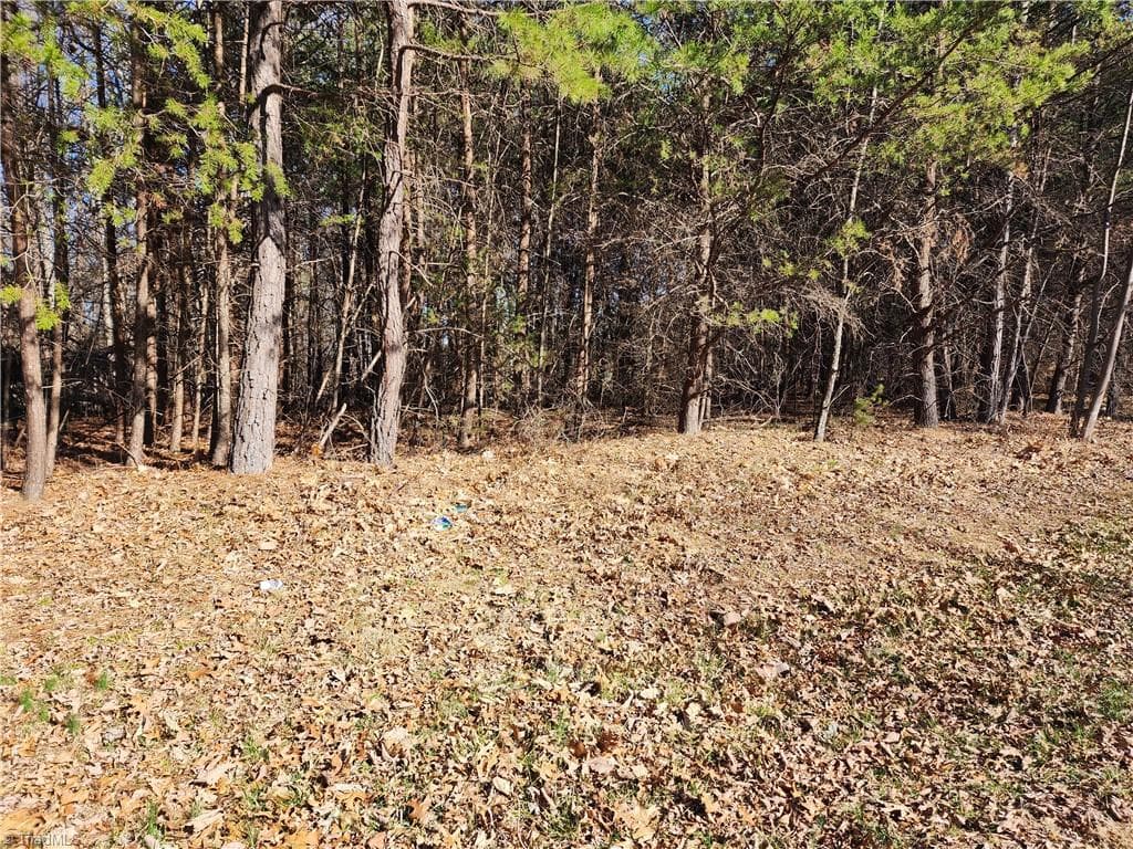 Unimproved Land at 00 Golf Course Road, Pilot Mountain NC 27041, photo 12 of 18