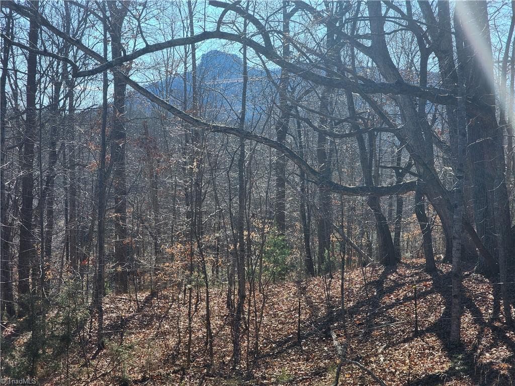 00 Golf Course Road, Pilot Mountain NC 27041