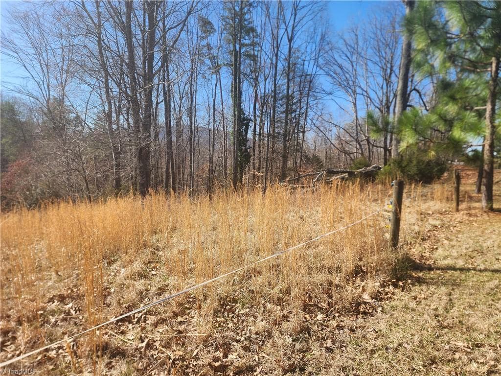 Unimproved Land at 00 Golf Course Road, Pilot Mountain NC 27041, photo 14 of 18