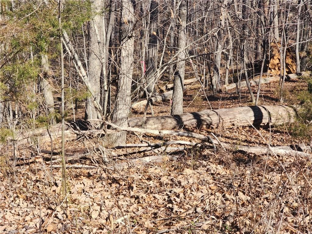 Unimproved Land at 00 Golf Course Road, Pilot Mountain NC 27041, photo 15 of 18