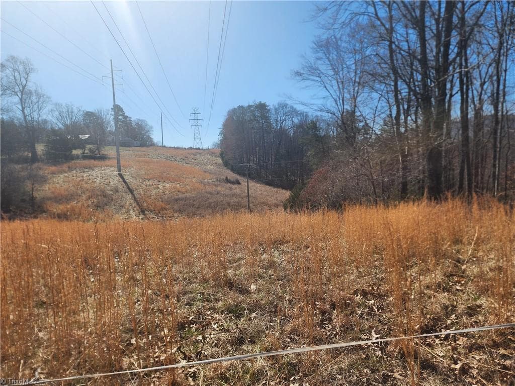 Unimproved Land at 00 Golf Course Road, Pilot Mountain NC 27041, photo 4 of 18