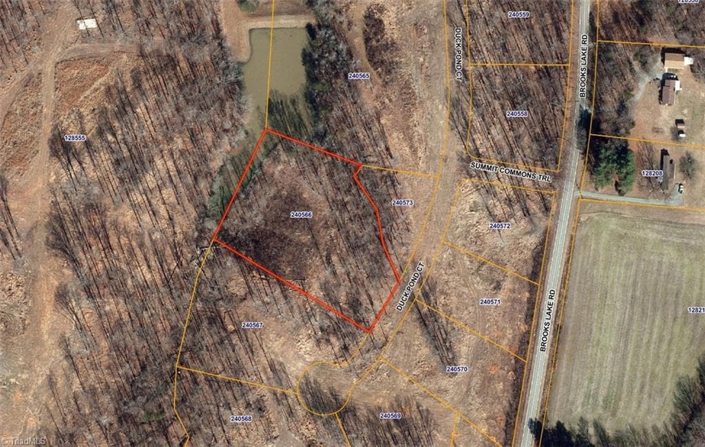 7919 Duck Pond Court, Browns Summit NC 27214