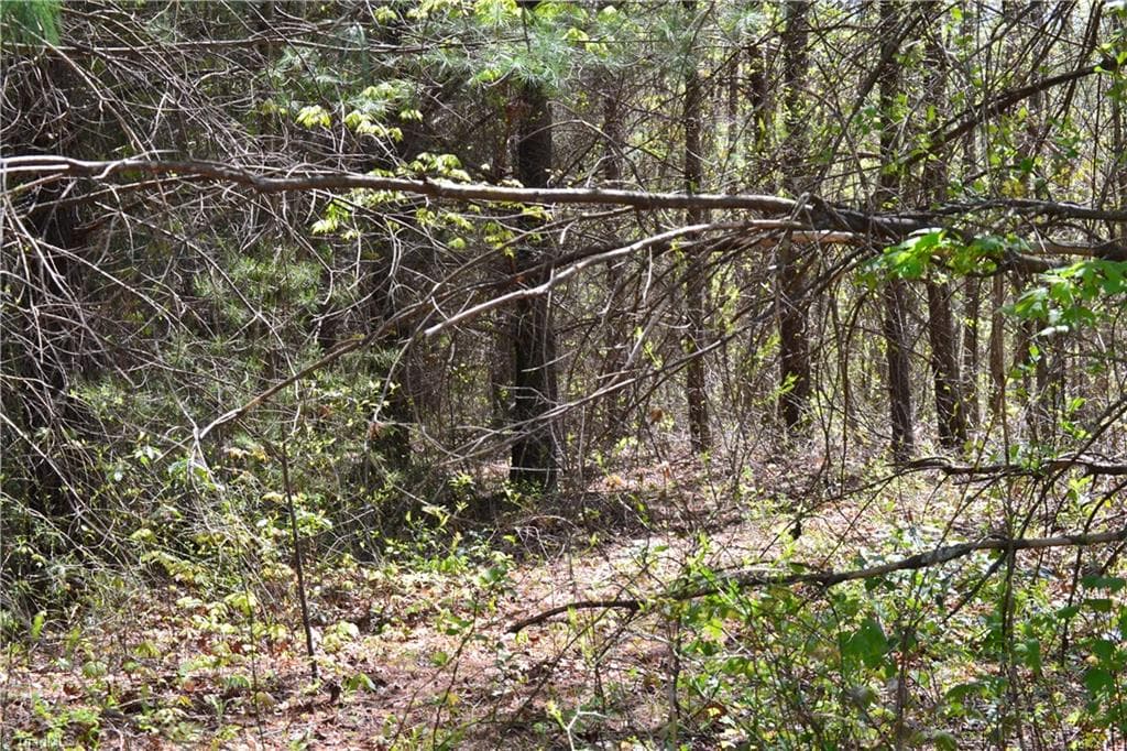 Unimproved Land at 00 Swaringen Road, Traphill NC 28685, photo 23 of 26