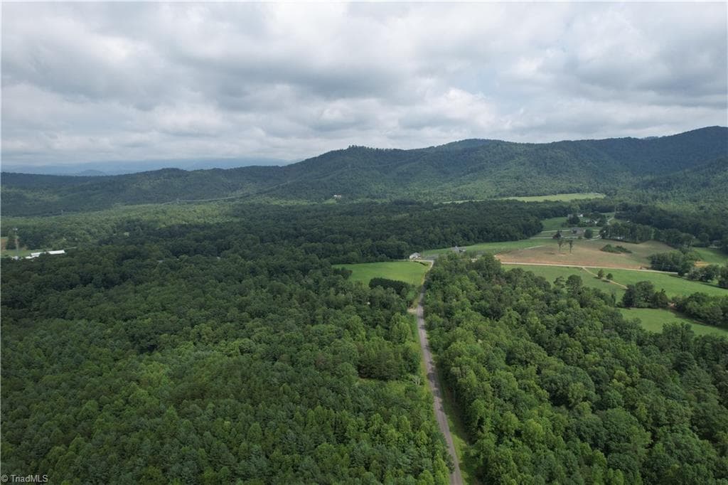 Unimproved Land at 00 Swaringen Road, Traphill NC 28685, photo 2 of 26