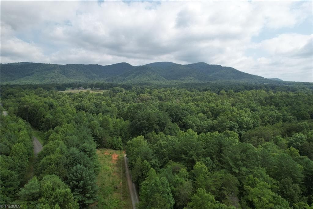 Unimproved Land at 00 Swaringen Road, Traphill NC 28685, photo 6 of 26