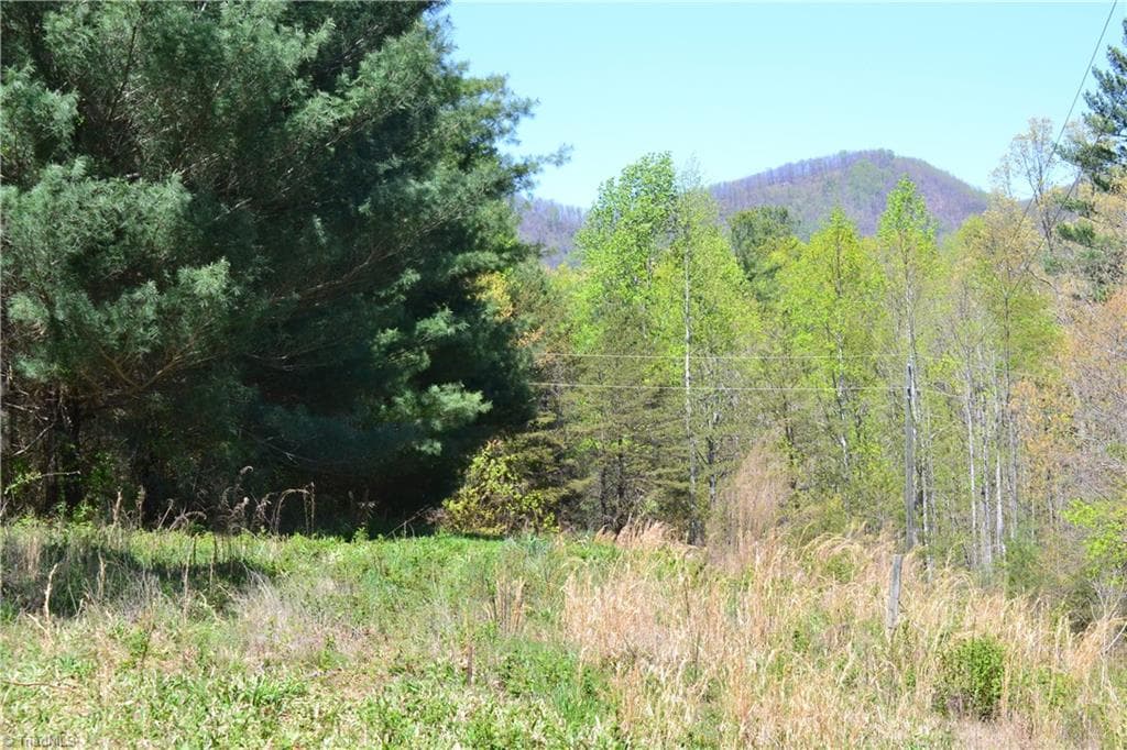 Unimproved Land at 00 Swaringen Road, Traphill NC 28685, photo 13 of 26