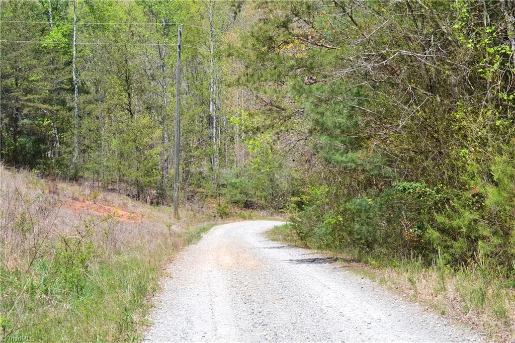 Unimproved Land at 00 Swaringen Road, Traphill NC 28685, photo 17 of 26