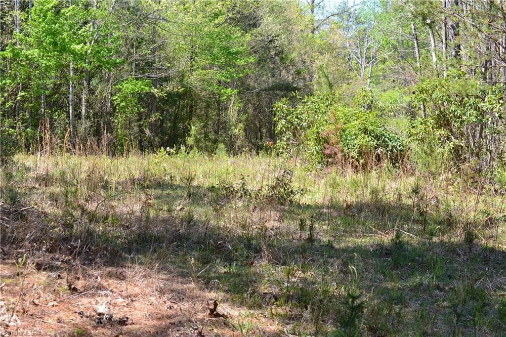 Unimproved Land at 00 Swaringen Road, Traphill NC 28685, photo 16 of 26