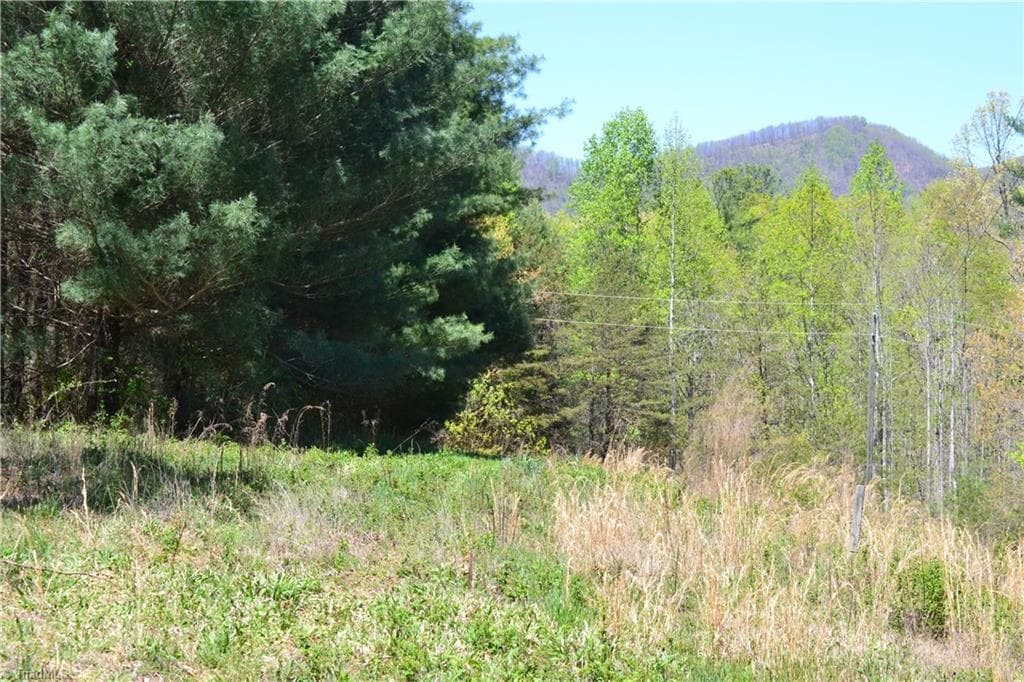 Unimproved Land at 00 Swaringen Road, Traphill NC 28685, photo 12 of 26