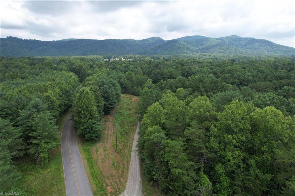 Unimproved Land at 00 Swaringen Road, Traphill NC 28685, photo 7 of 26