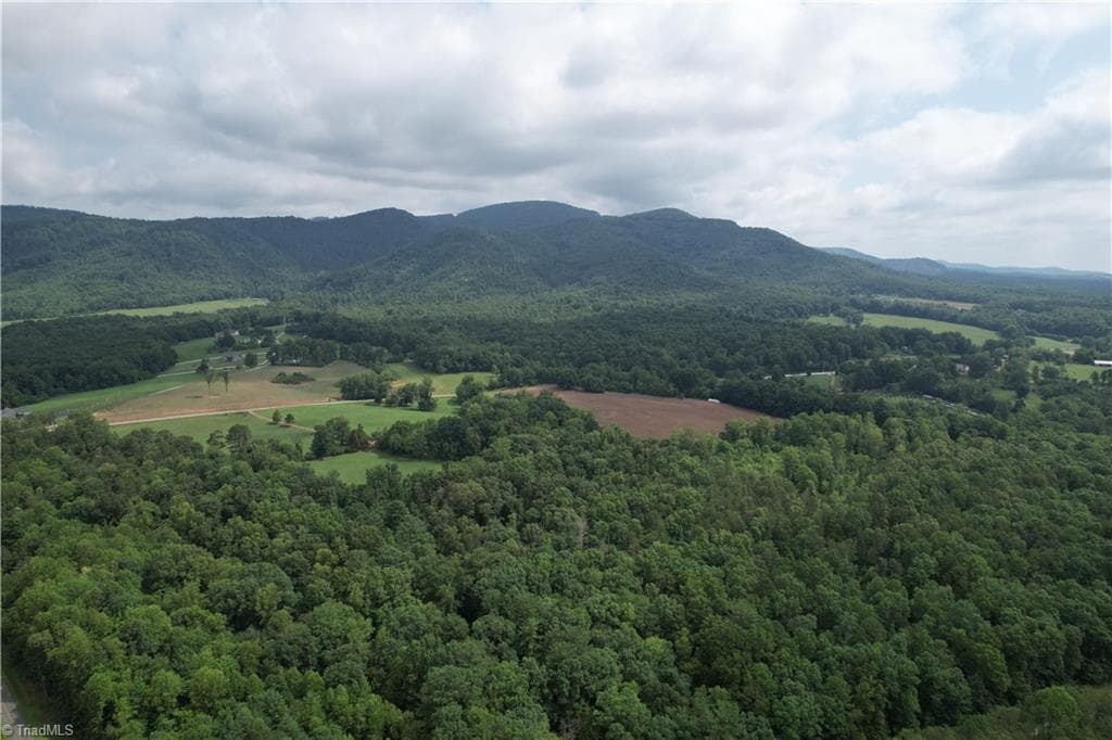 Unimproved Land at 00 Swaringen Road, Traphill NC 28685, photo 3 of 26