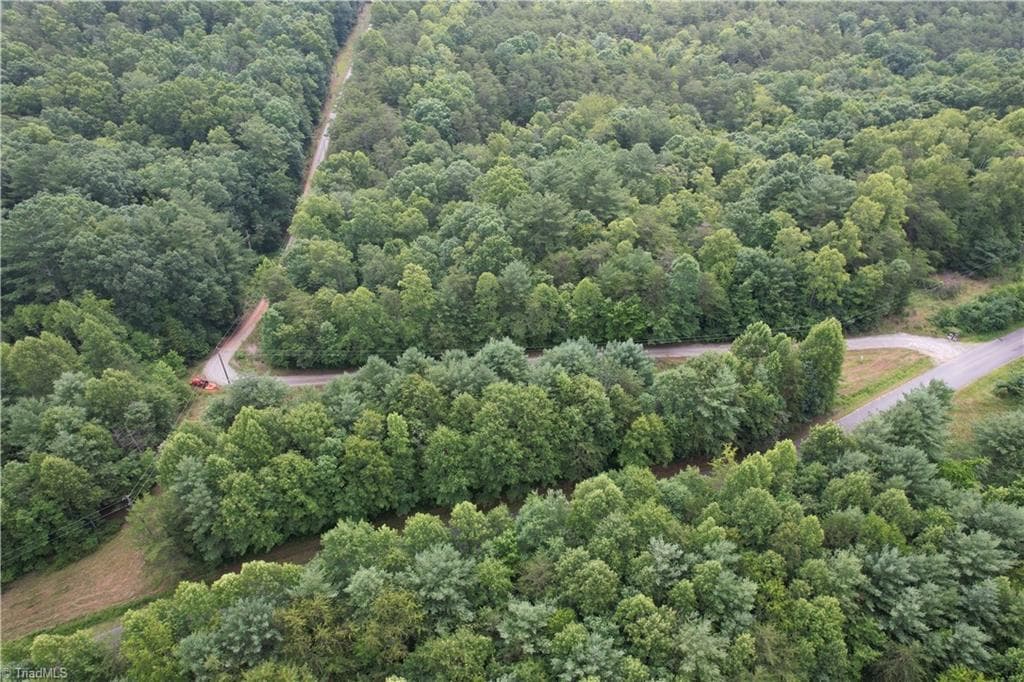 Unimproved Land at 00 Swaringen Road, Traphill NC 28685, photo 5 of 26