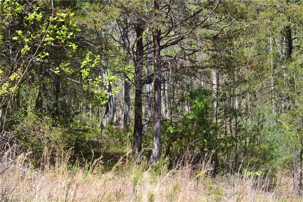 Unimproved Land at 00 Swaringen Road, Traphill NC 28685, photo 20 of 26