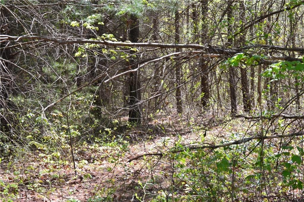 Unimproved Land at 00 Swaringen Road, Traphill NC 28685, photo 24 of 26