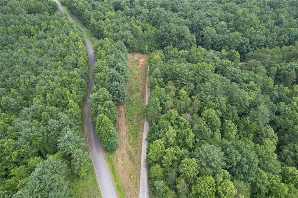 Unimproved Land at 00 Swaringen Road, Traphill NC 28685, photo 10 of 26