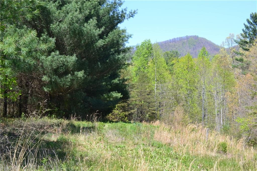 Unimproved Land at 00 Swaringen Road, Traphill NC 28685, photo 14 of 26