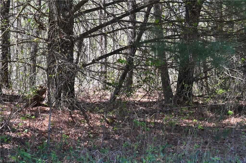Unimproved Land at 00 Swaringen Road, Traphill NC 28685, photo 18 of 26