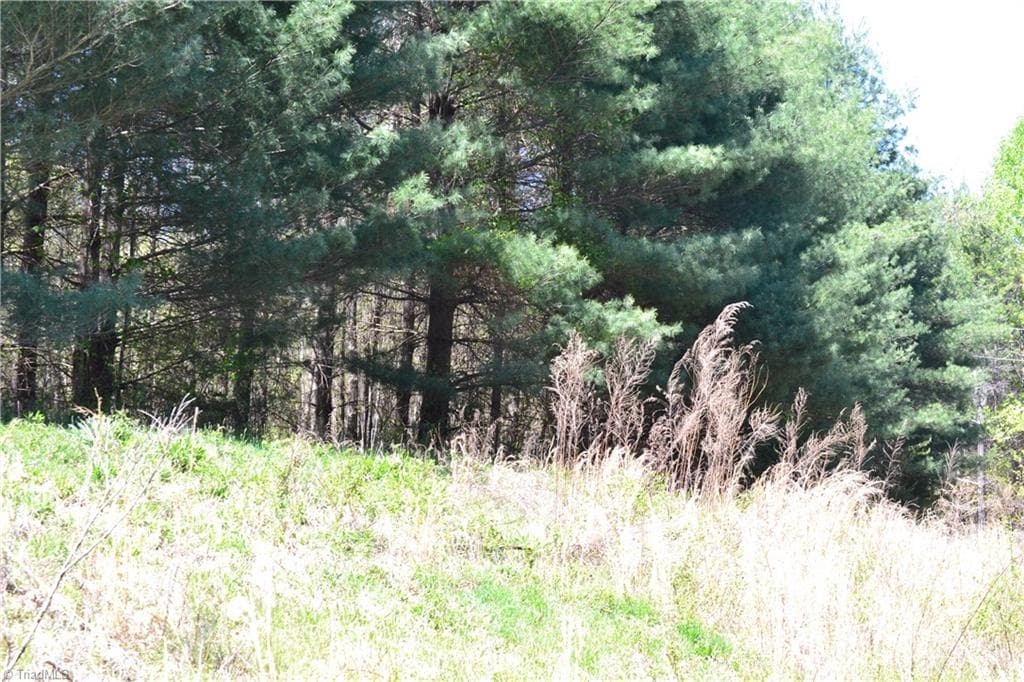 Unimproved Land at 00 Swaringen Road, Traphill NC 28685, photo 15 of 26