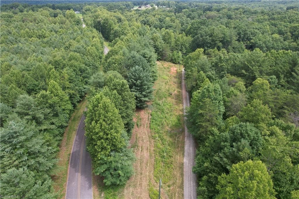 Unimproved Land at 00 Swaringen Road, Traphill NC 28685, photo 11 of 26