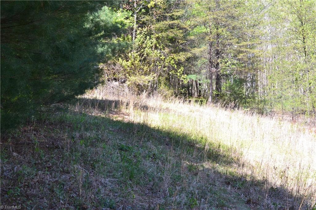 Unimproved Land at 00 Swaringen Road, Traphill NC 28685, photo 19 of 26