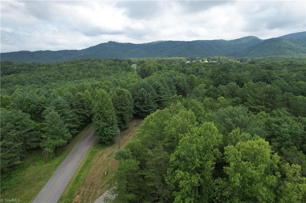 Unimproved Land at 00 Swaringen Road, Traphill NC 28685, photo 8 of 26