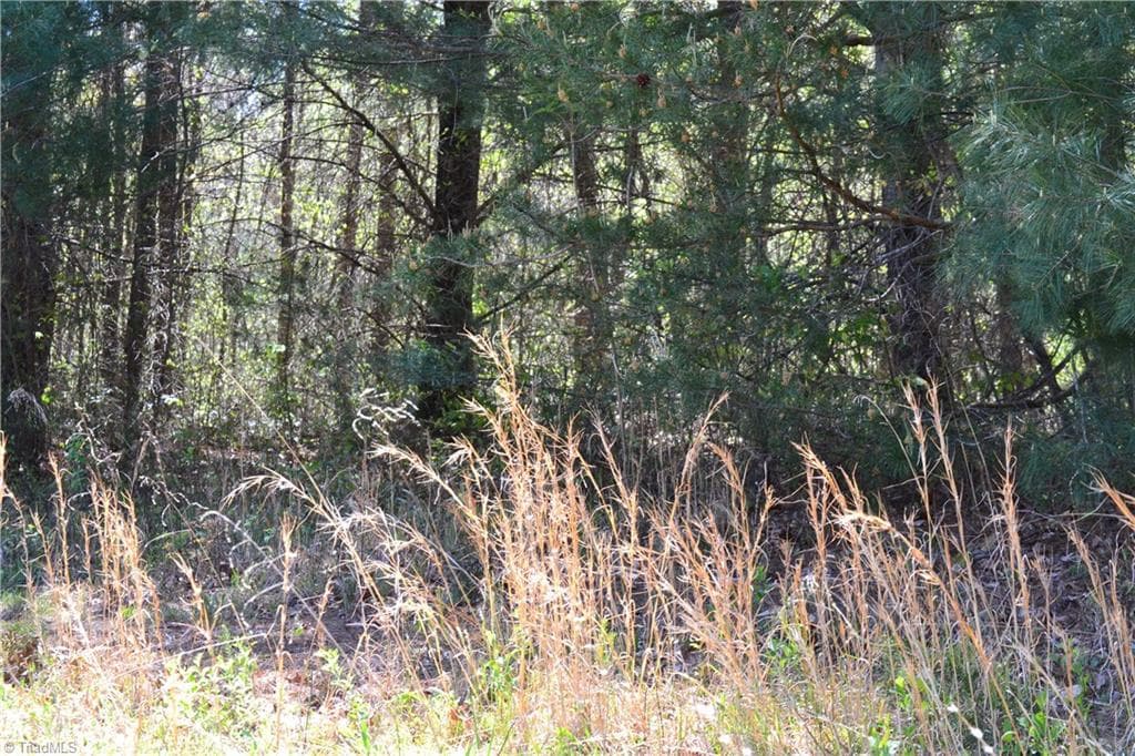 Unimproved Land at 00 Swaringen Road, Traphill NC 28685, photo 25 of 26