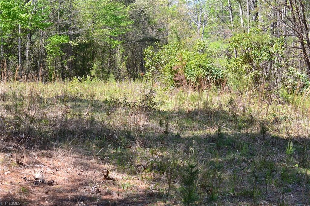 Unimproved Land at 00 Swaringen Road, Traphill NC 28685, photo 21 of 26
