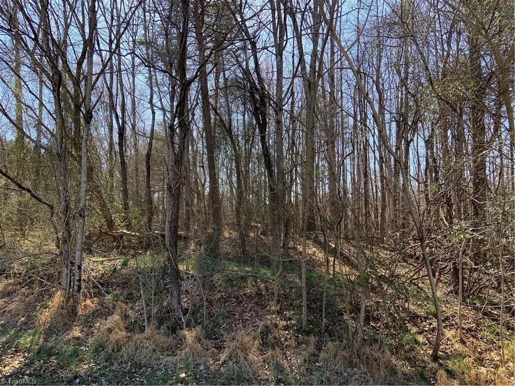 Stick/Site Built at 228 Sitting Rock Drive, Madison NC 27025, photo 6 of 6