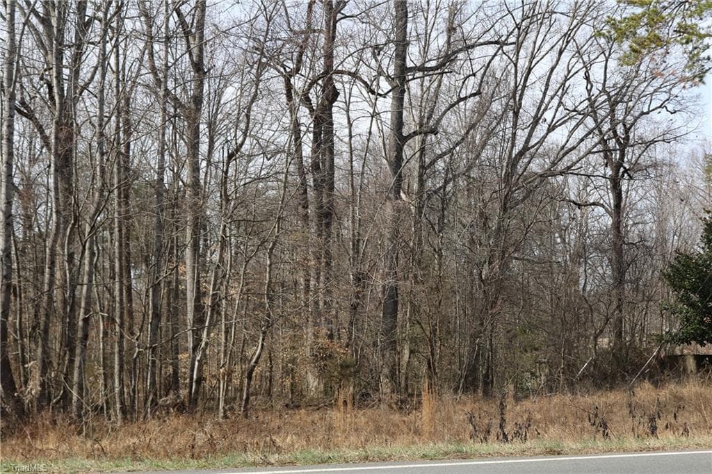 Agriculture at 0 Jones Chapel Road, Reidsville NC 27320, photo 2 of 3