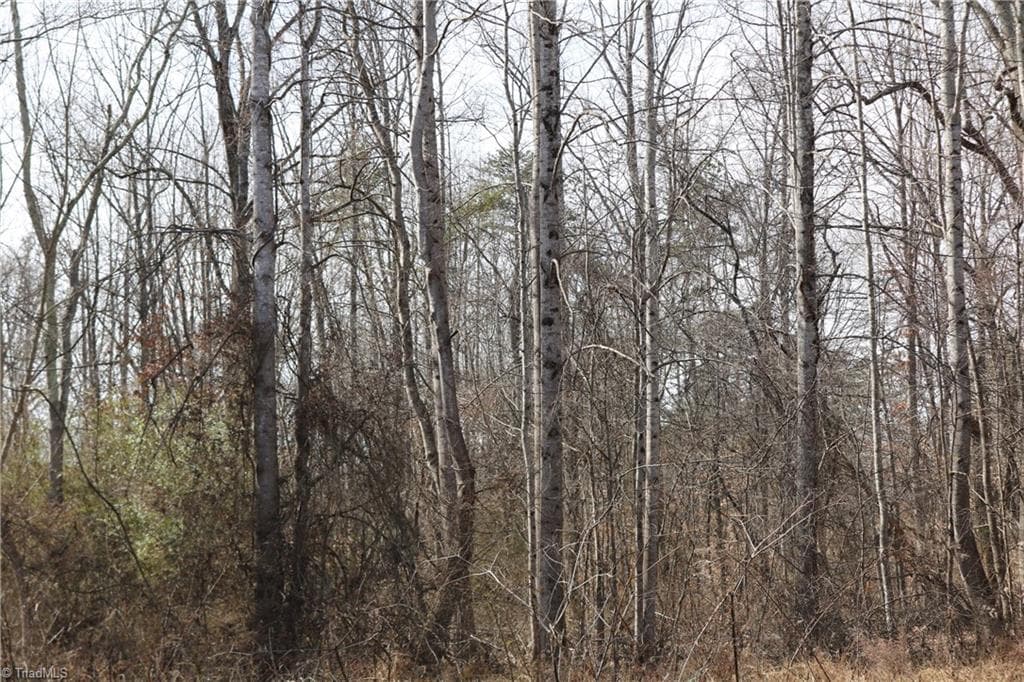 0 Jones Chapel Road, Reidsville NC 27320