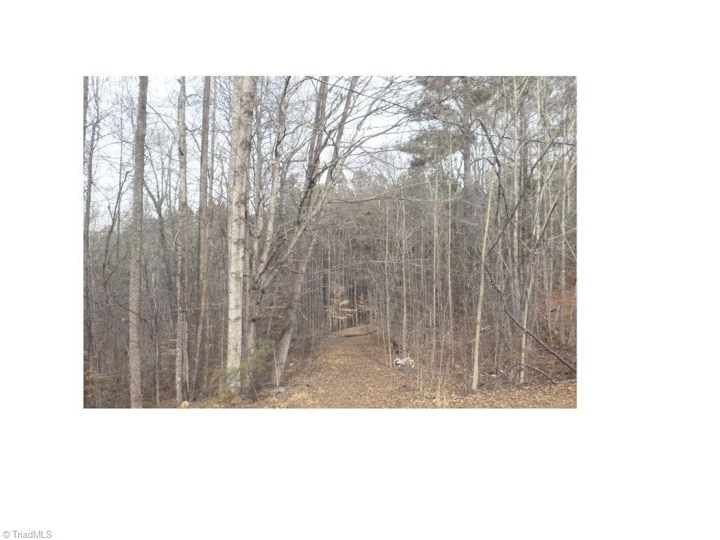 00 Mountview Drive, Pelham NC 27311