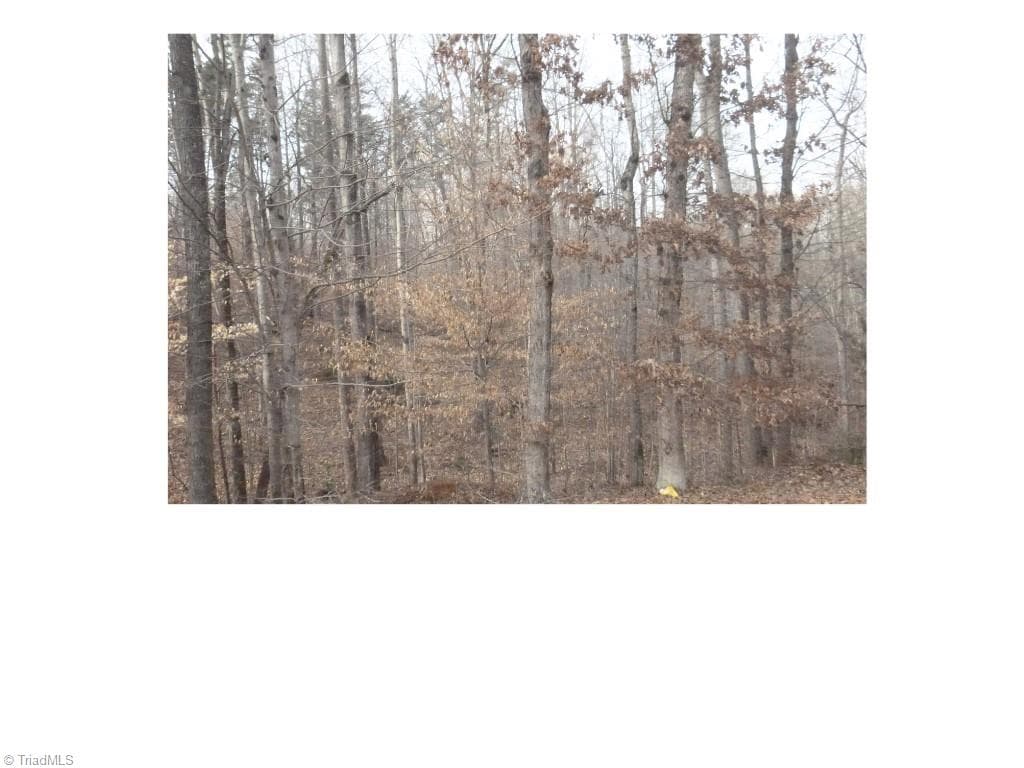 Single Family Residence at 00 Mountview Drive, Pelham NC 27311, photo 4 of 4
