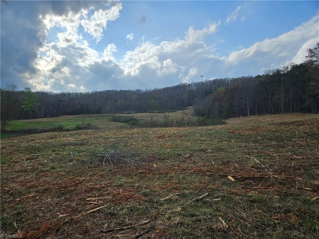 Unimproved Land at 0 Blue Hollow Road # 29, Mount Airy NC 27030, photo 6 of 10
