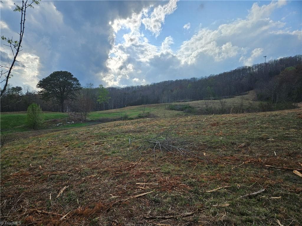 Unimproved Land at 0 Blue Hollow Road # 29, Mount Airy NC 27030, photo 7 of 10