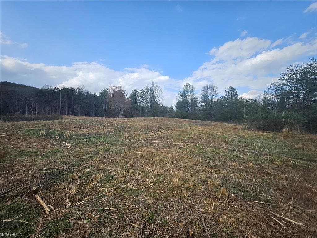 Unimproved Land at 0 Blue Hollow Road # 29, Mount Airy NC 27030, photo 8 of 10