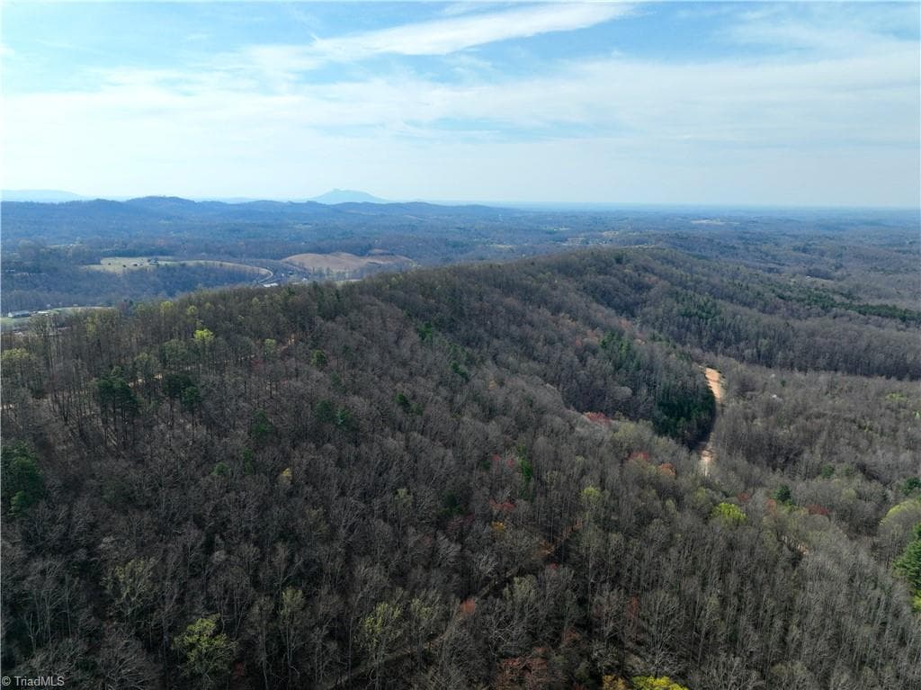 0 NE Pine Street, Mount Airy NC 27030