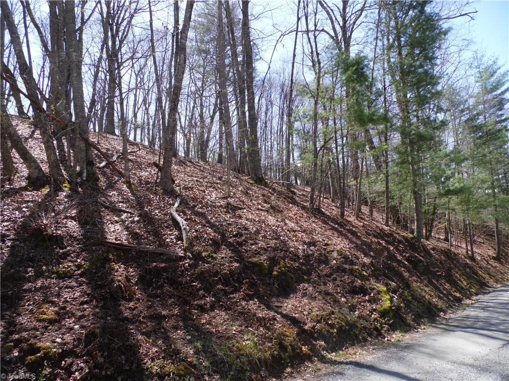 #31 & #32 Happy Ridge Road, Piney Creek NC 28663